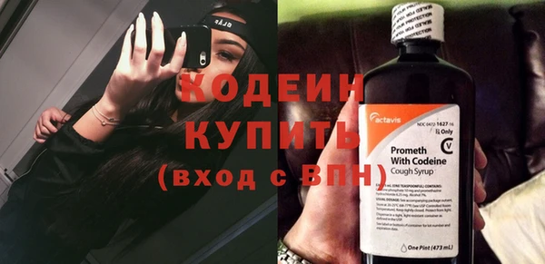 сатива Инсар
