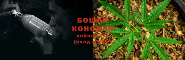 сатива Инсар