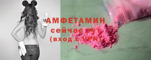 сатива Инсар