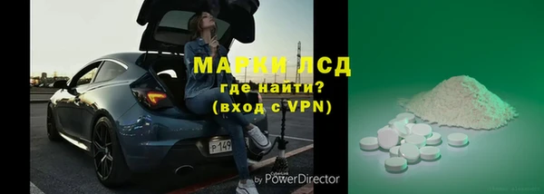 сатива Инсар
