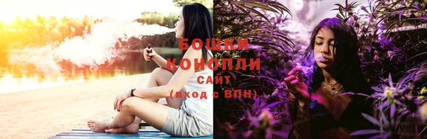 сатива Инсар