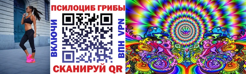 Купить где  Анапа  Псилоцибиновые грибы прущие грибы 